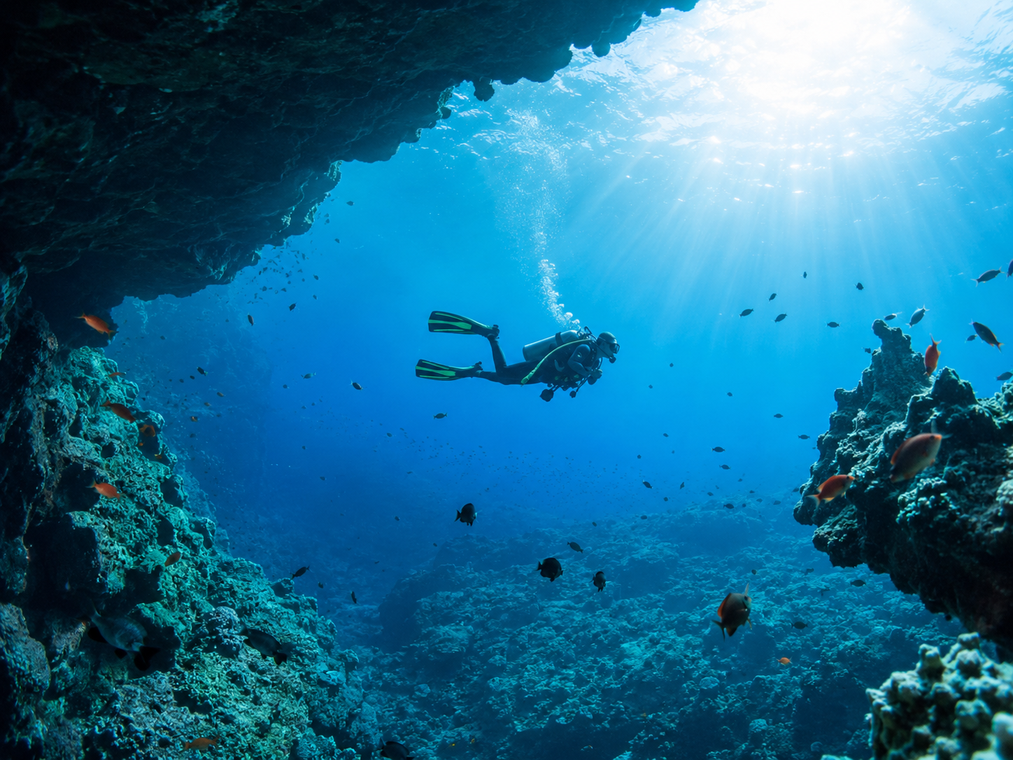 Antalya Scuba Diving Dalış Turu